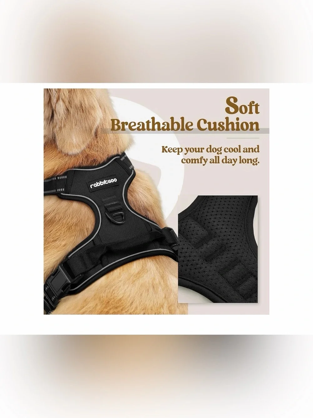 rabbitgoo Dog Harness, No Pull for Small Dogs with 2 Leash Clips